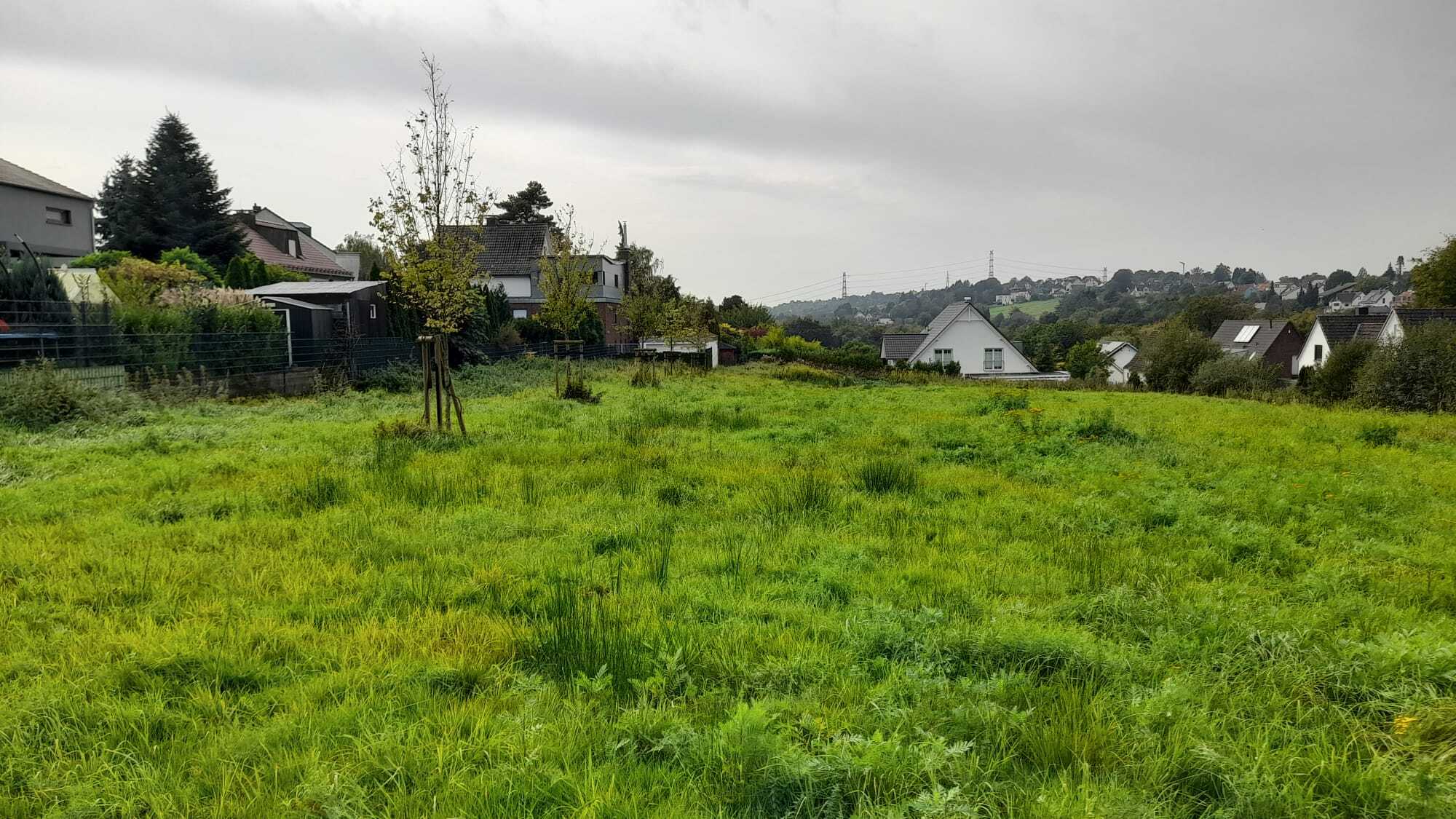 884c884d-5e4d-4a21-aa57-af182030f1b1