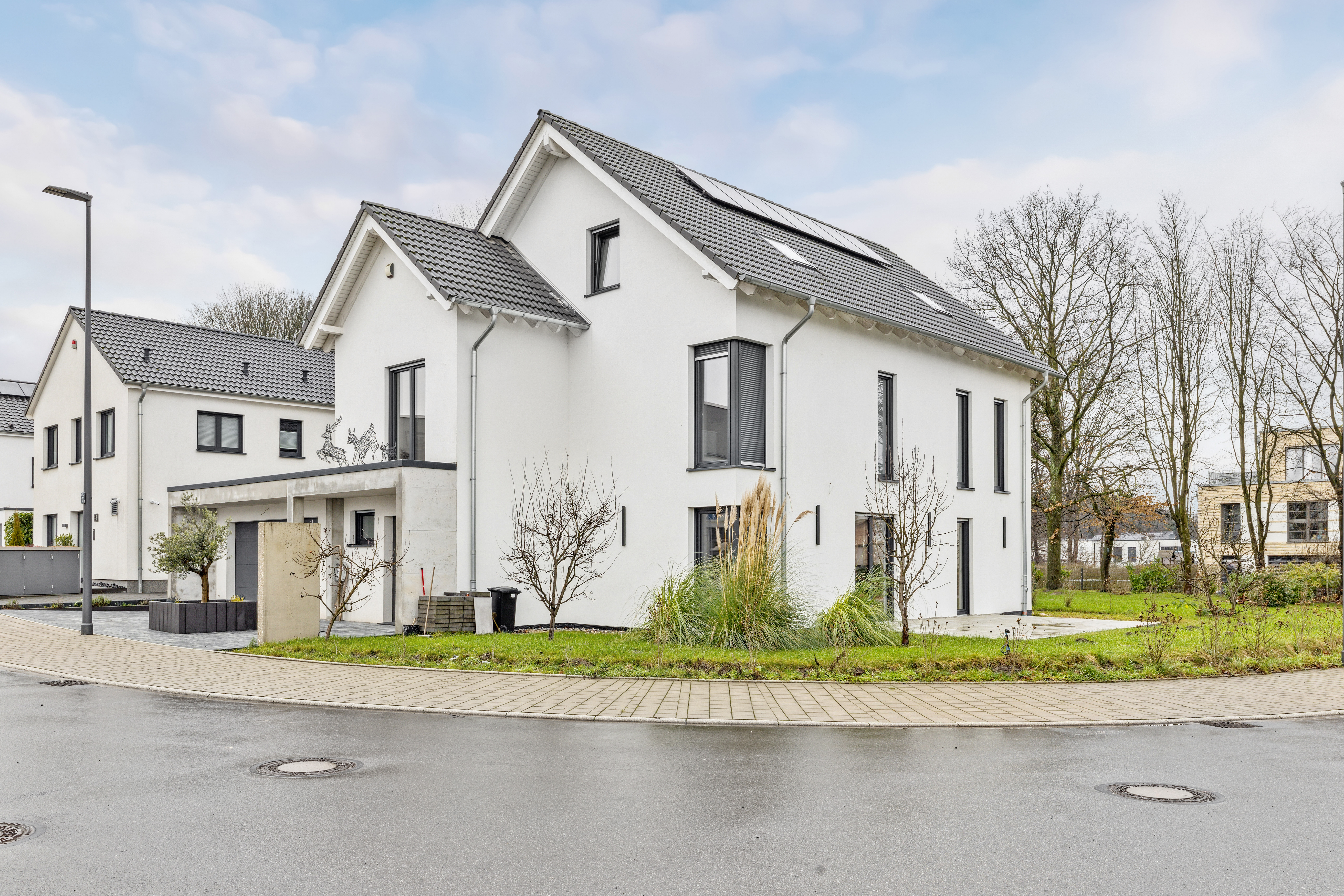 backbone_524288-A_001_HD