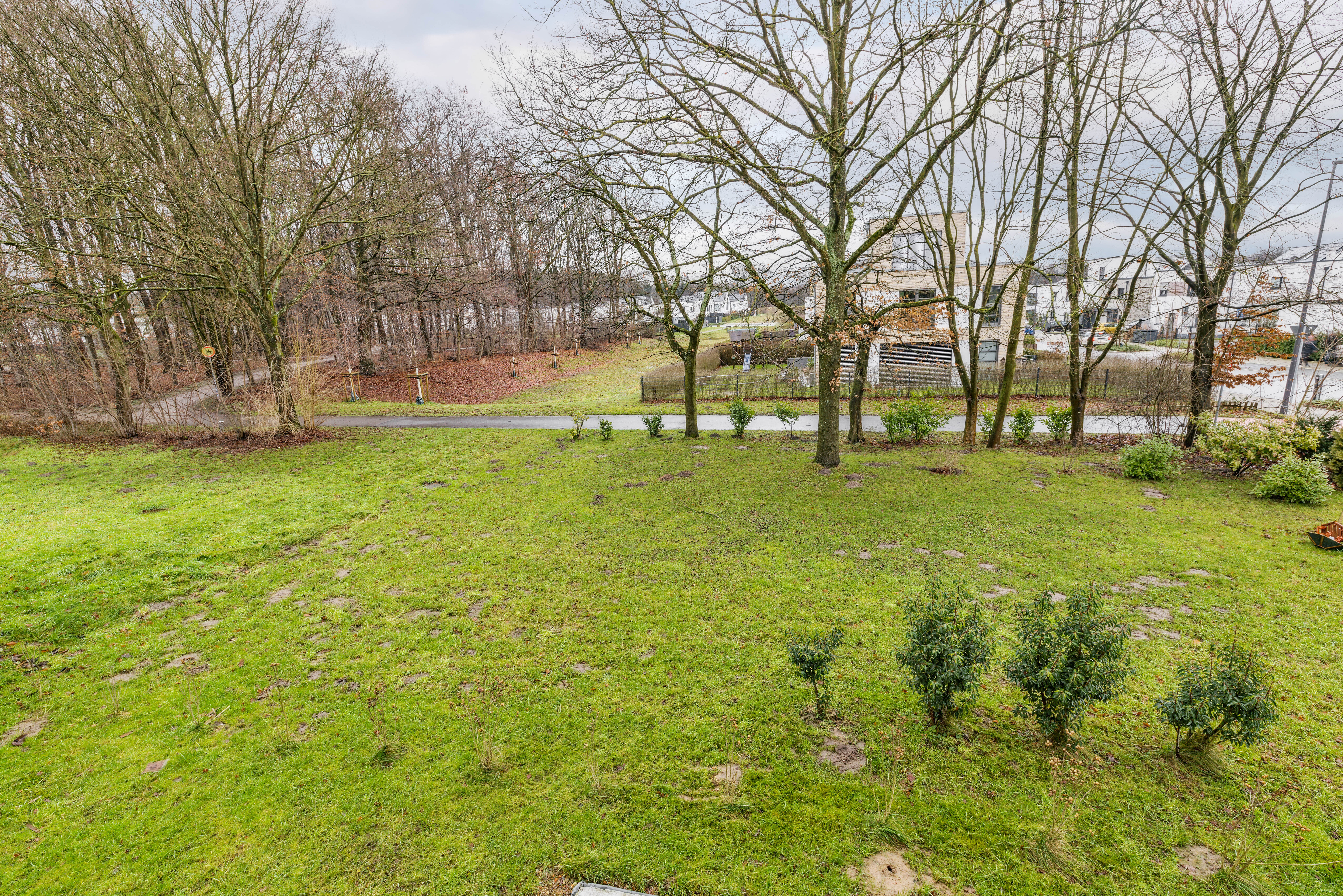 backbone_524288-A_025_HD