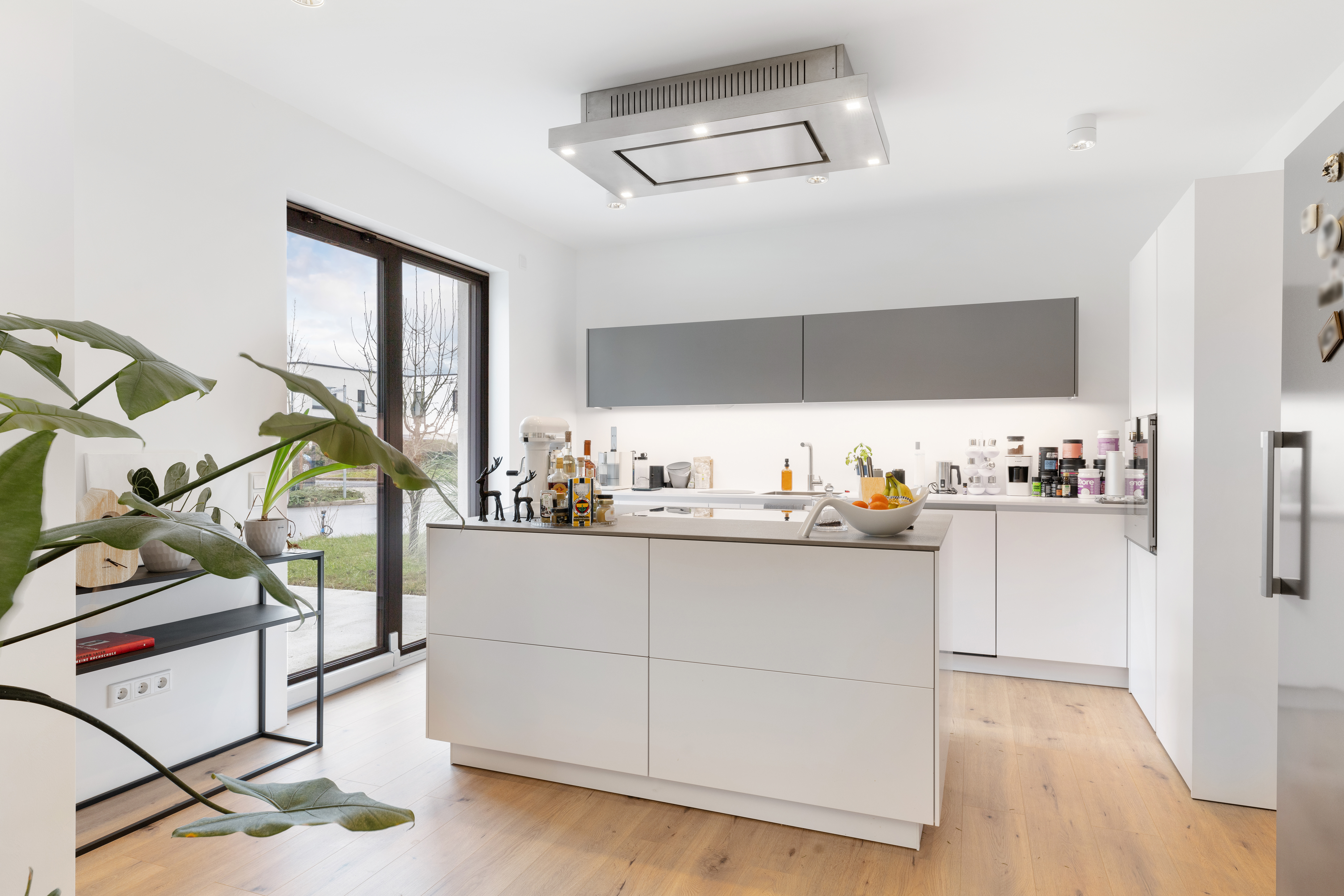 backbone_524288-A_054_HD